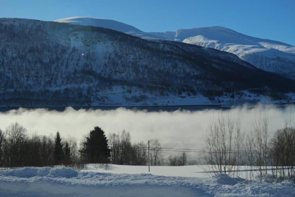 New Magnificent View Apartment Near The Centre Tromso Luaran gambar